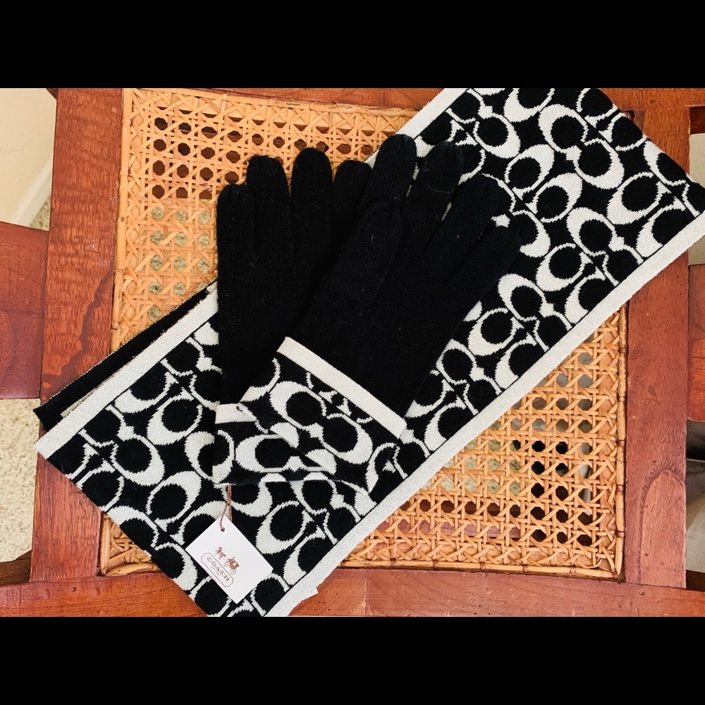 Coach gloves and mittens